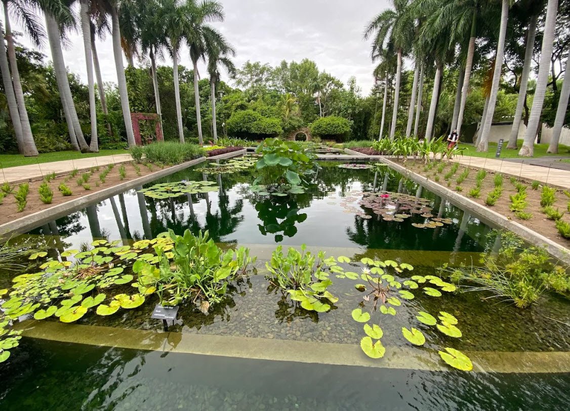 Jardín Botánico Culiacán, Mexico